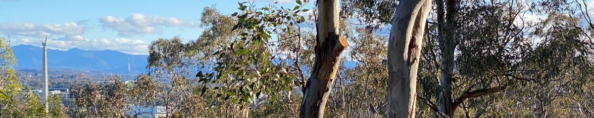 Arboretum to Russell