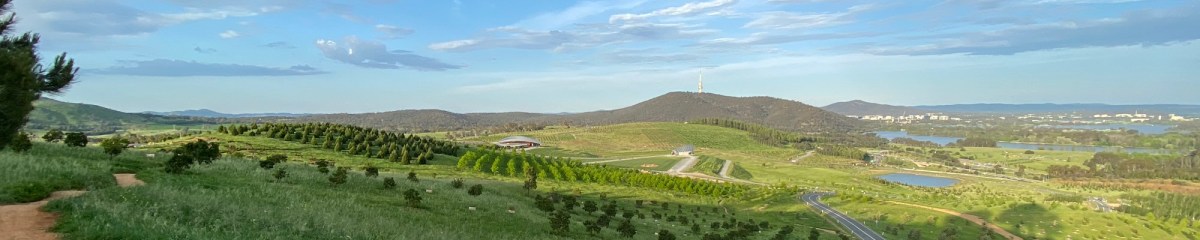 How to Arbo: Single Tracking the National&nbsp;Arboretum