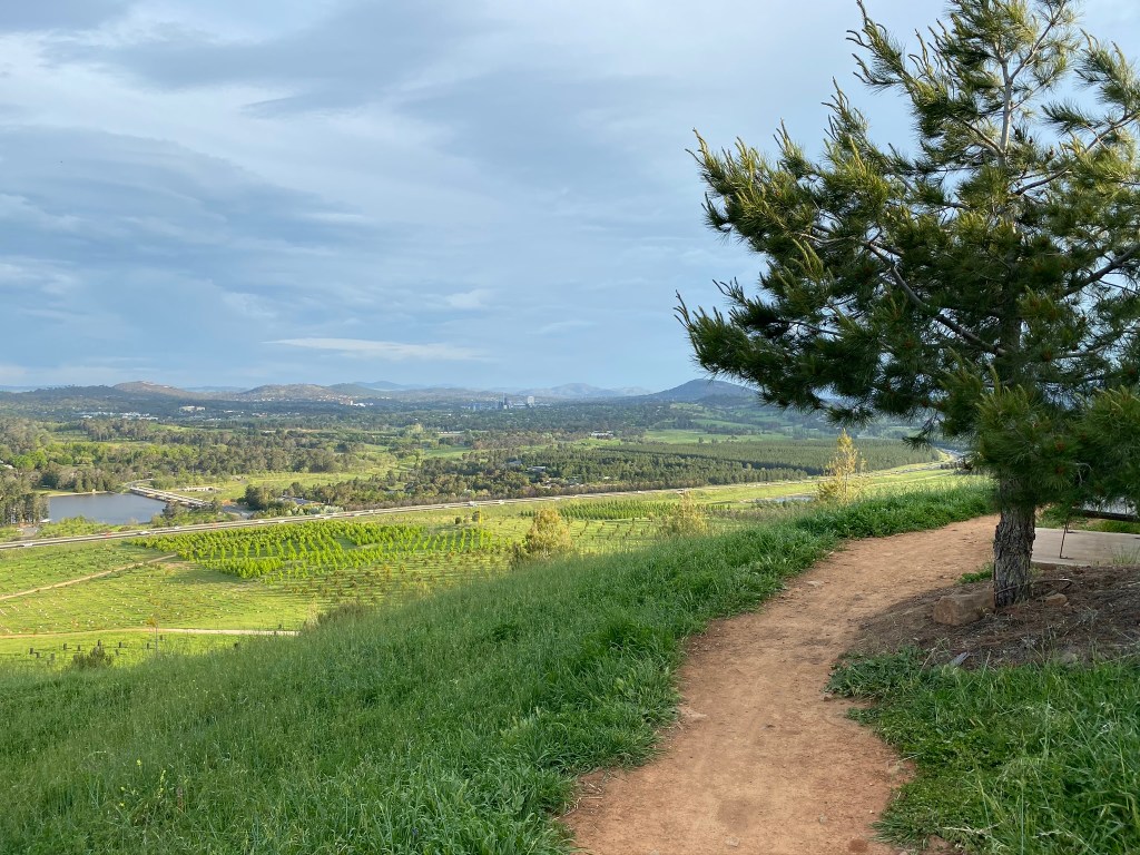 View from Dairy Farmers to Scrivener Dam