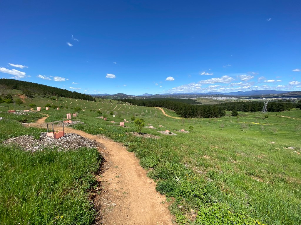 Molonglo Valley views