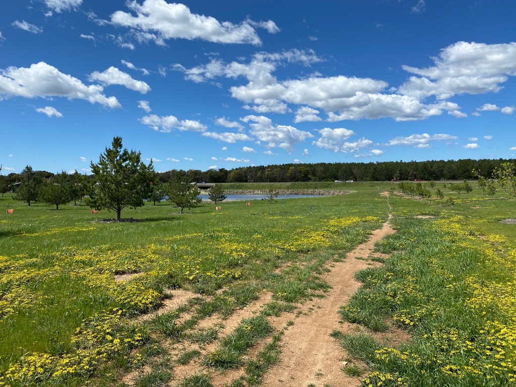 Detour down here to Zoo Pines