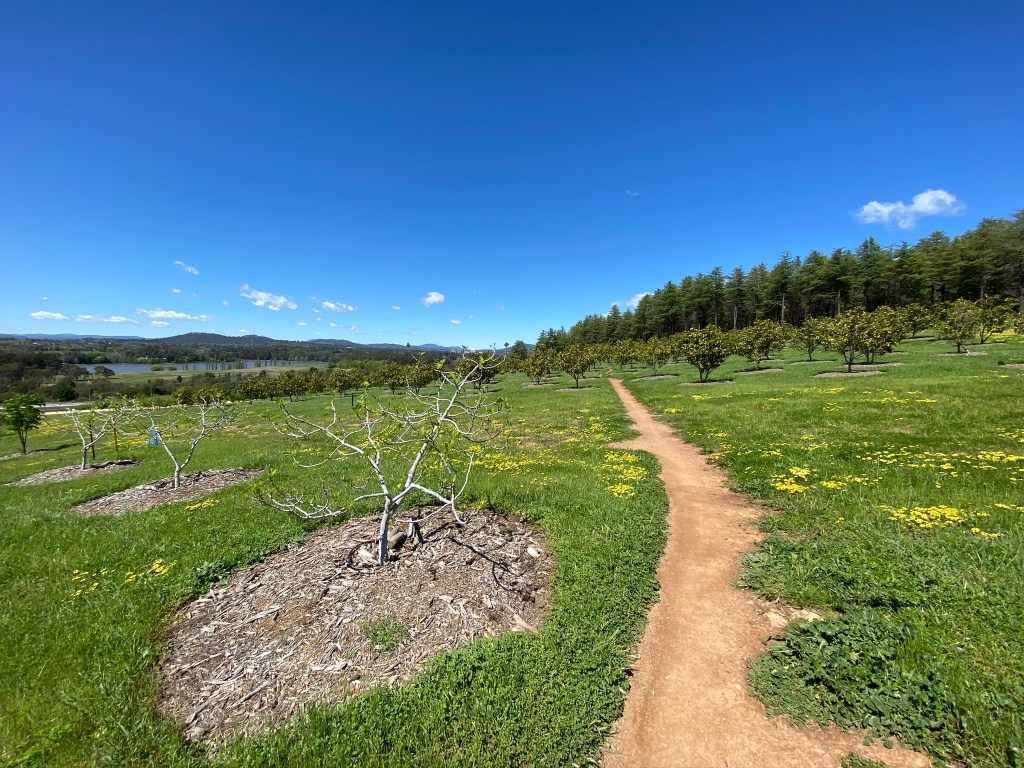 Zig-zagging up the hill