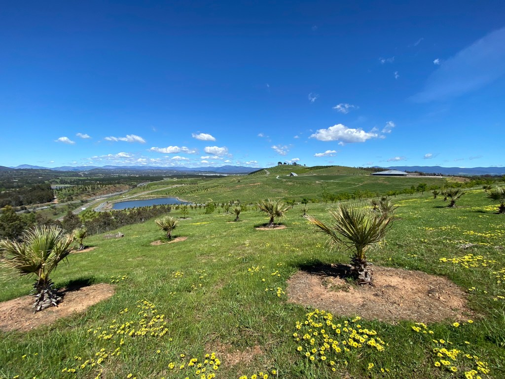 Epic views at the California Fan Palms