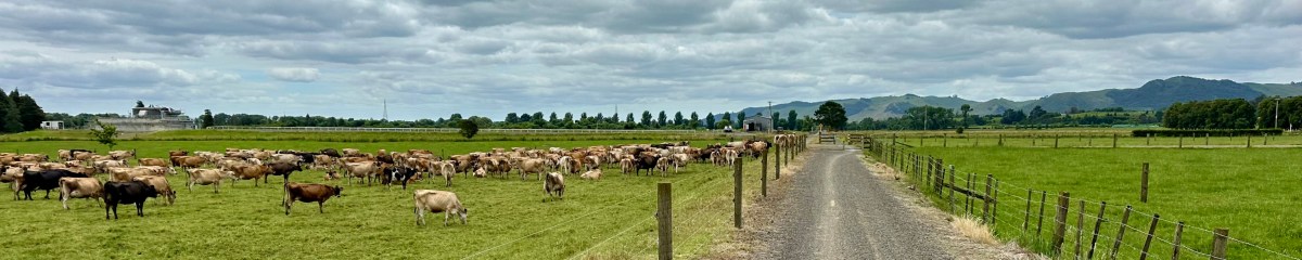 Flash bikepacking: Auckland, Te Awa River Ride & Hauraki Rail&nbsp;Trail
